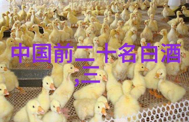 杜康一种历史悠久的白酒