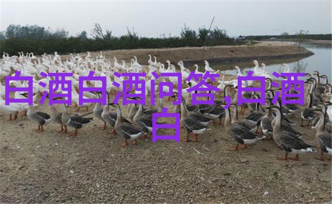 白酒分几种香型白酒分几种香型及特点