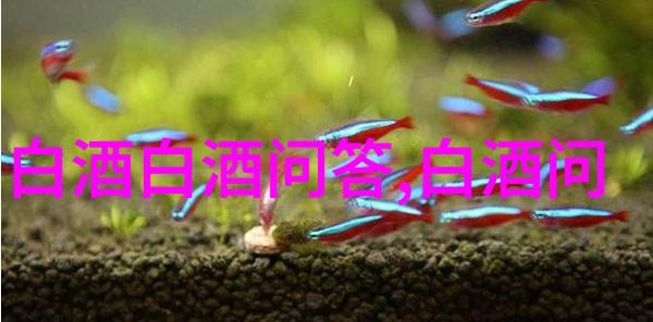 科罗娜可以加雪碧吗科罗娜可以兑雪碧吗